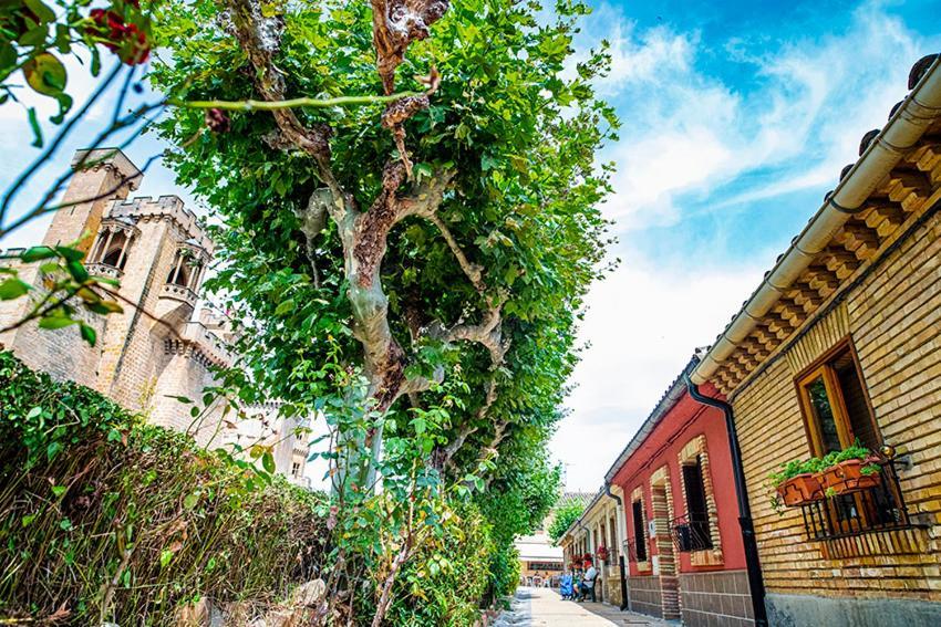 Apartamento La casa de la abuela Olite Exterior foto